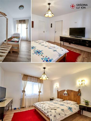 Hostal Gradina Lu' Ion