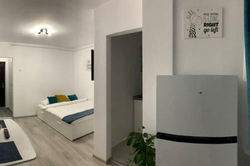 Cozy Studio Apartament Zalau