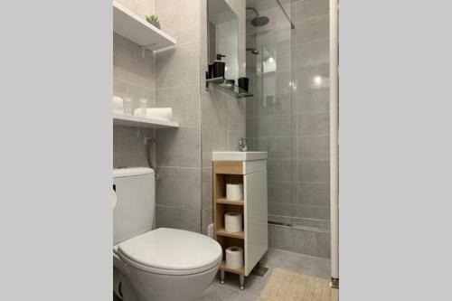 Cozy Studio Apartament Zalau