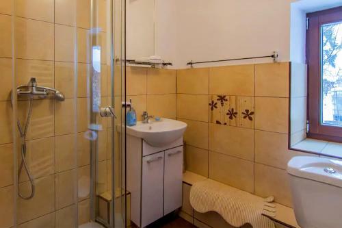 Charming Chalet Timisul De Sus