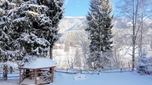 Charming Chalet Timisul De Sus