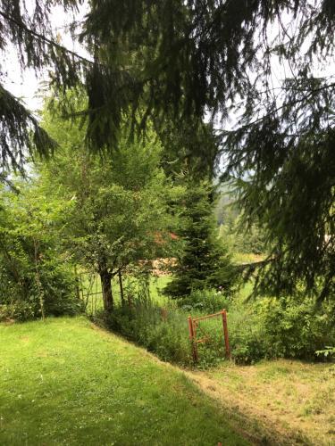 Charming Chalet Timisul De Sus
