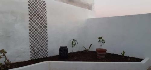 Jolie Casa De Alentejo