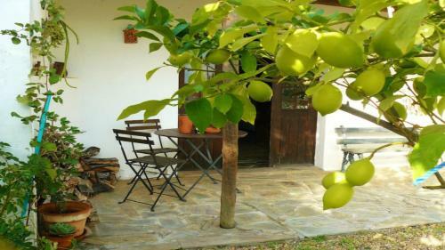 Casa Da Tia Lu�sa