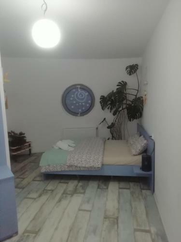 Hostal Domurile Din Z?rne?ti