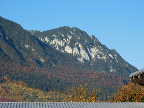 Motel Mountain Vista Suites