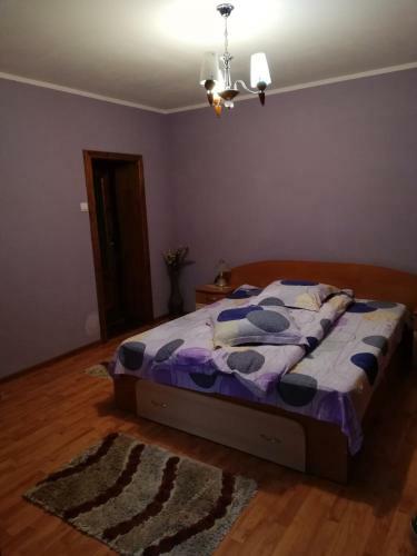 Hostal Vila Vl?du?