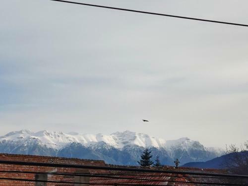 Hostal Casa Piatra Craiului