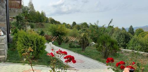 Casa Nicoladis