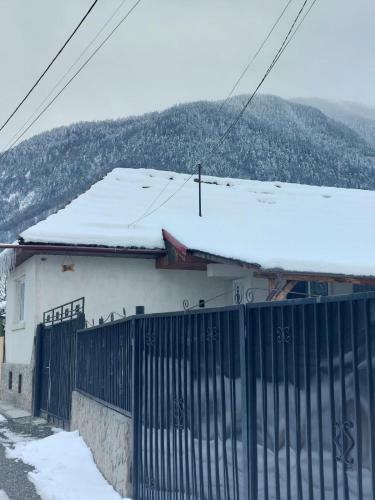 Villa Vila Dor Z?rne?ti