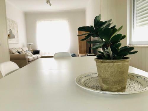 Apartamento Espa�oso E Confort�vel No Centro Do Montijo