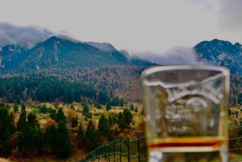 View Piatra Craiului