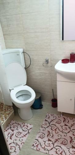 Apartament Razvan