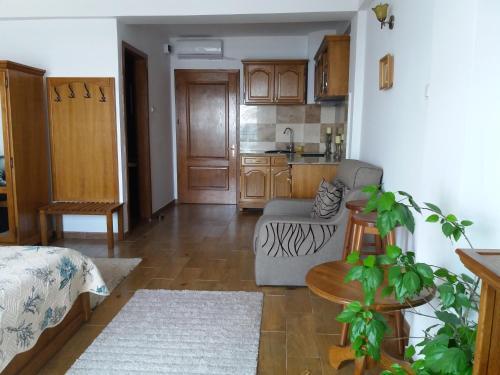 Hostal Vila Pe Plaja Nr 9