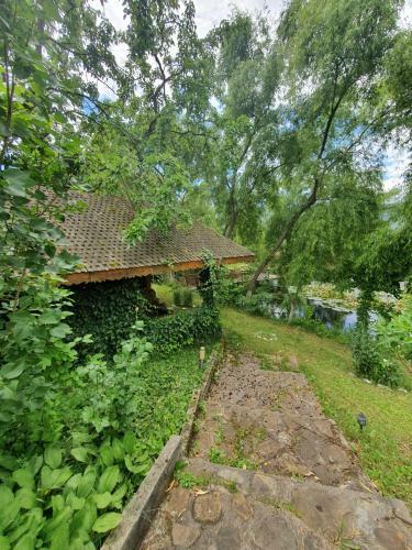Cozy Wooden House