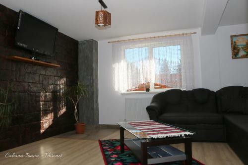 Cabana Ioana