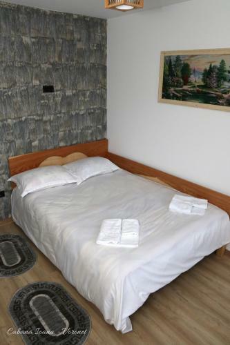 Cabana Ioana