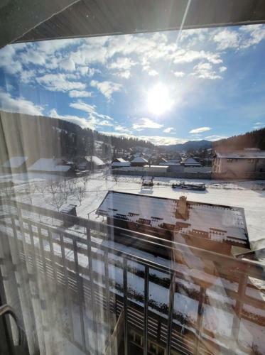 Hostal Pensiunea 7 Coline