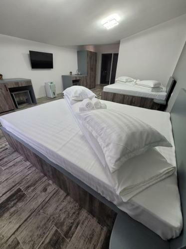 Hostal Pensiunea 7 Coline
