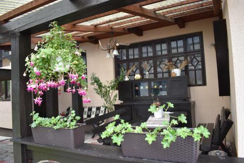 Lodge Clematis House