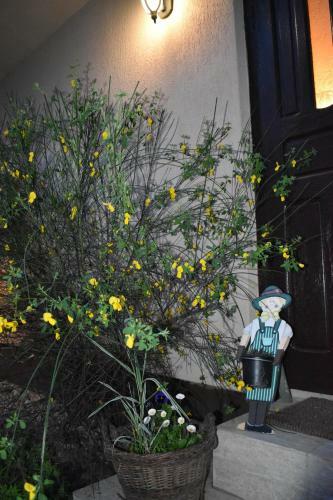 Lodge Clematis House