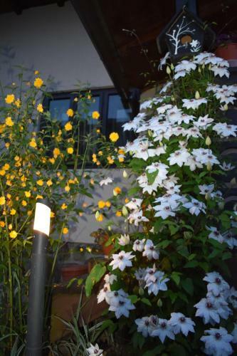 Lodge Clematis House