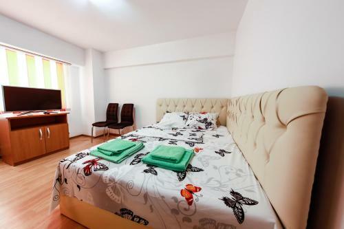 Luxury Radox Apartment Buzau City Center