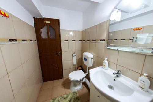 Luxury Radox Apartment Buzau City Center