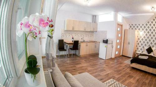Nice & Cozy Apartments
