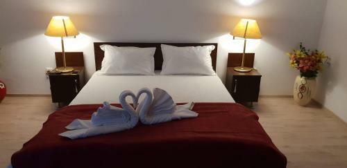 Hostal Casa Lions