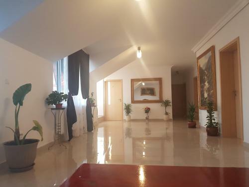 Hostal Casa Lions