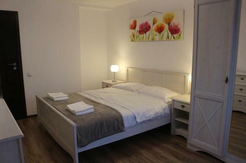 Timisoara City Apartments