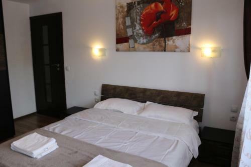 Timisoara City Apartments