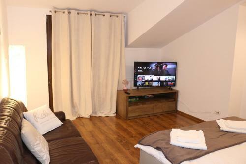 Timisoara City Apartments