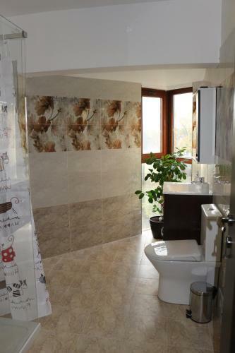 Timisoara City Apartments