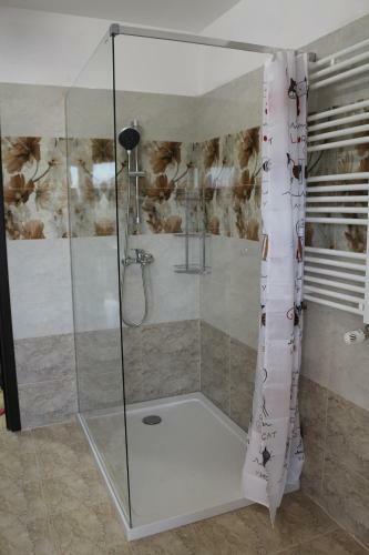 Timisoara City Apartments