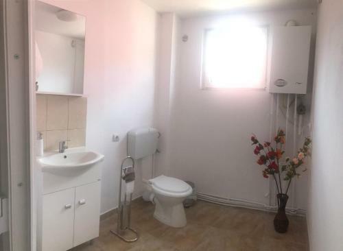 Spacious And Cozy 3bd+terrace Couples Apartment