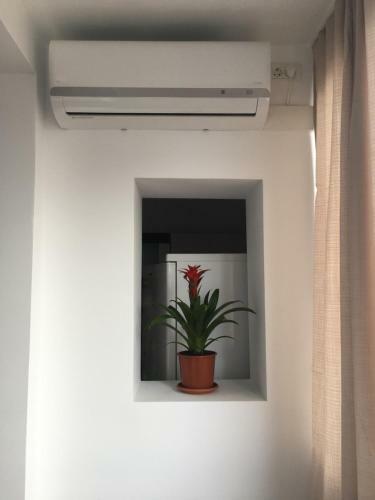 Take Timisoara Apartment