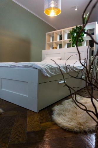 Apartamento Zor Zon Studios