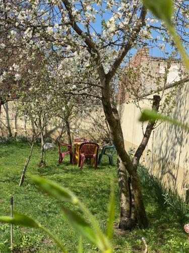 Albergue Zen House