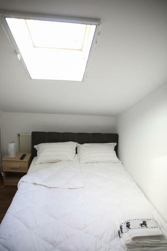 Tim Apartments
