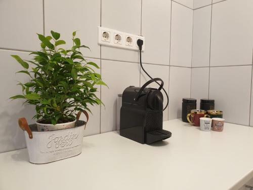 Apartamento Maria