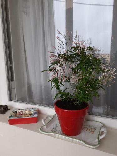 Skyline Central Apartment