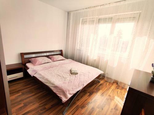 Ultracentral Cathedral Apartament Timisoara