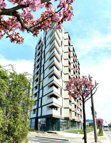 Apartamento Velvet Home