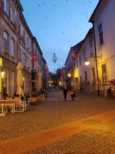 Deluxe Downtown Apartment Timisoara