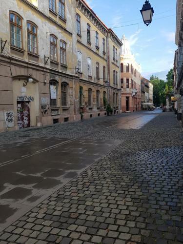Deluxe Downtown Apartment Timisoara