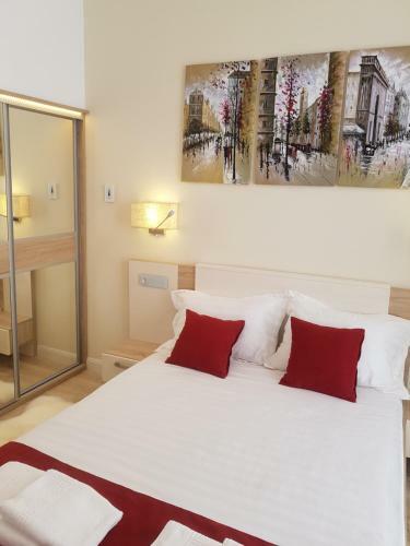Deluxe Downtown Apartment Timisoara