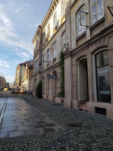 Deluxe Downtown Apartment Timisoara