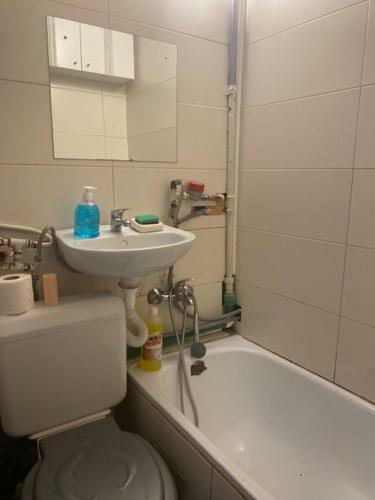 Apartament Confort Sporit O Camera Cetatii